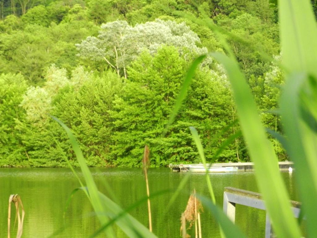 Gite Les Platanes Sainte-Helene-du-Lac Exterior photo